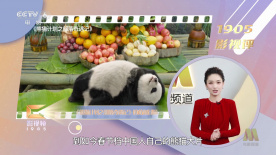 泰剧《我们的爱》在线观看